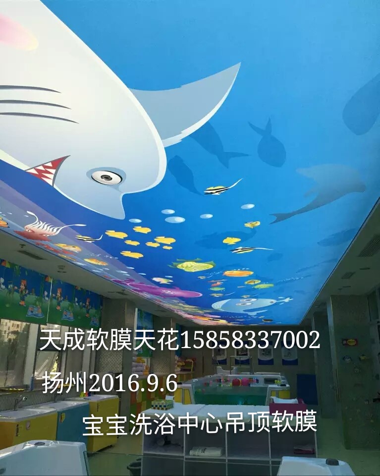 松江可定做透光膜燈箱=燈箱拉膜=噴繪膜 天成軟膜天花廠家圖片_高清圖_細節圖-天成軟膜天花裝飾材料 -